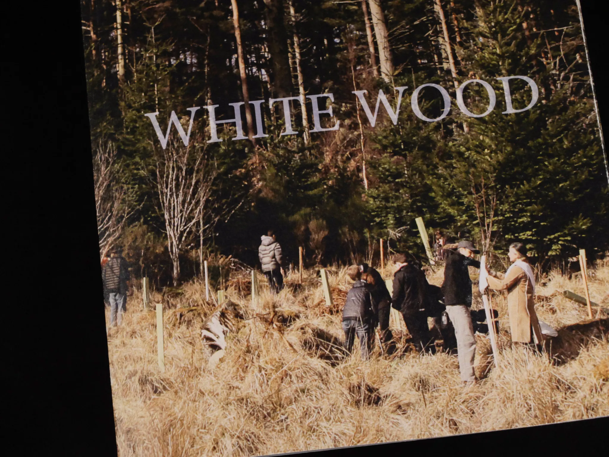 The front cover of a book, featuring people in a planting saplings, surrounded by long grass and tall trees.