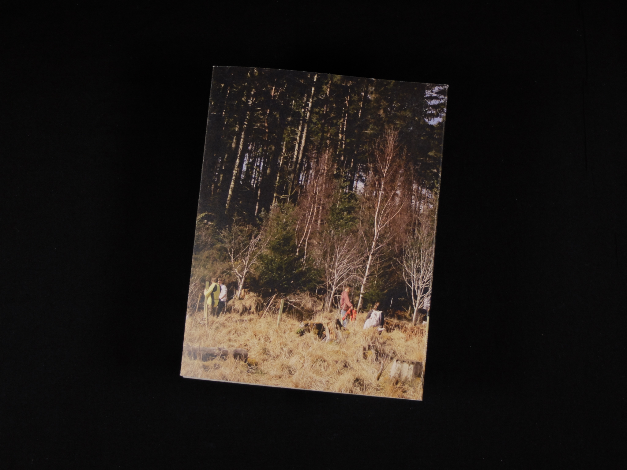 The back cover of a book, featuring tall trees and people standing amongst long brown grass