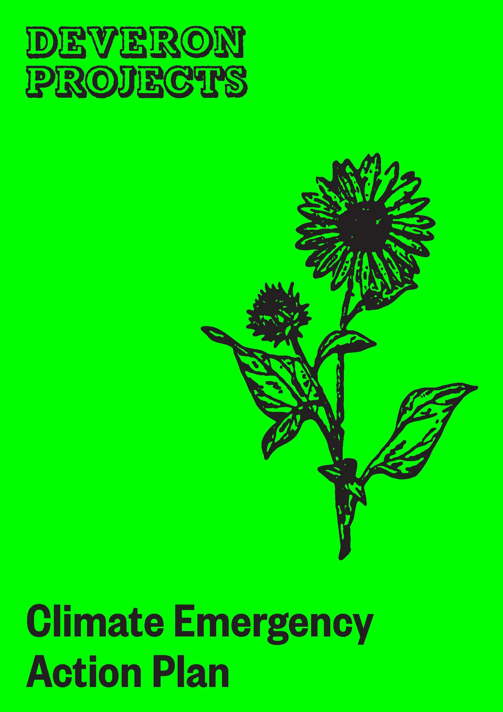 Climate Emergency Action Plan