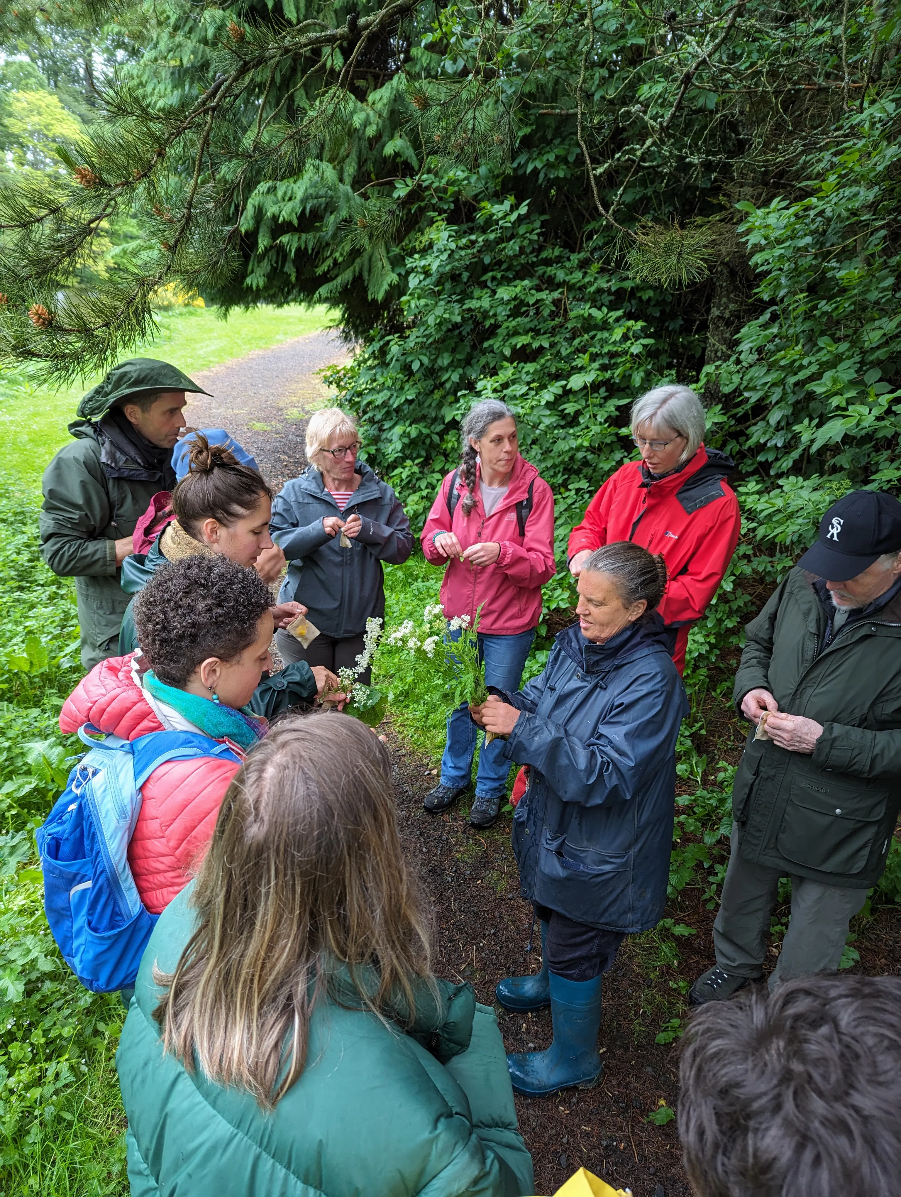 Margherita Soldati and Justin Stewart, Walking through microbial time, part of Good Gut! (2024)