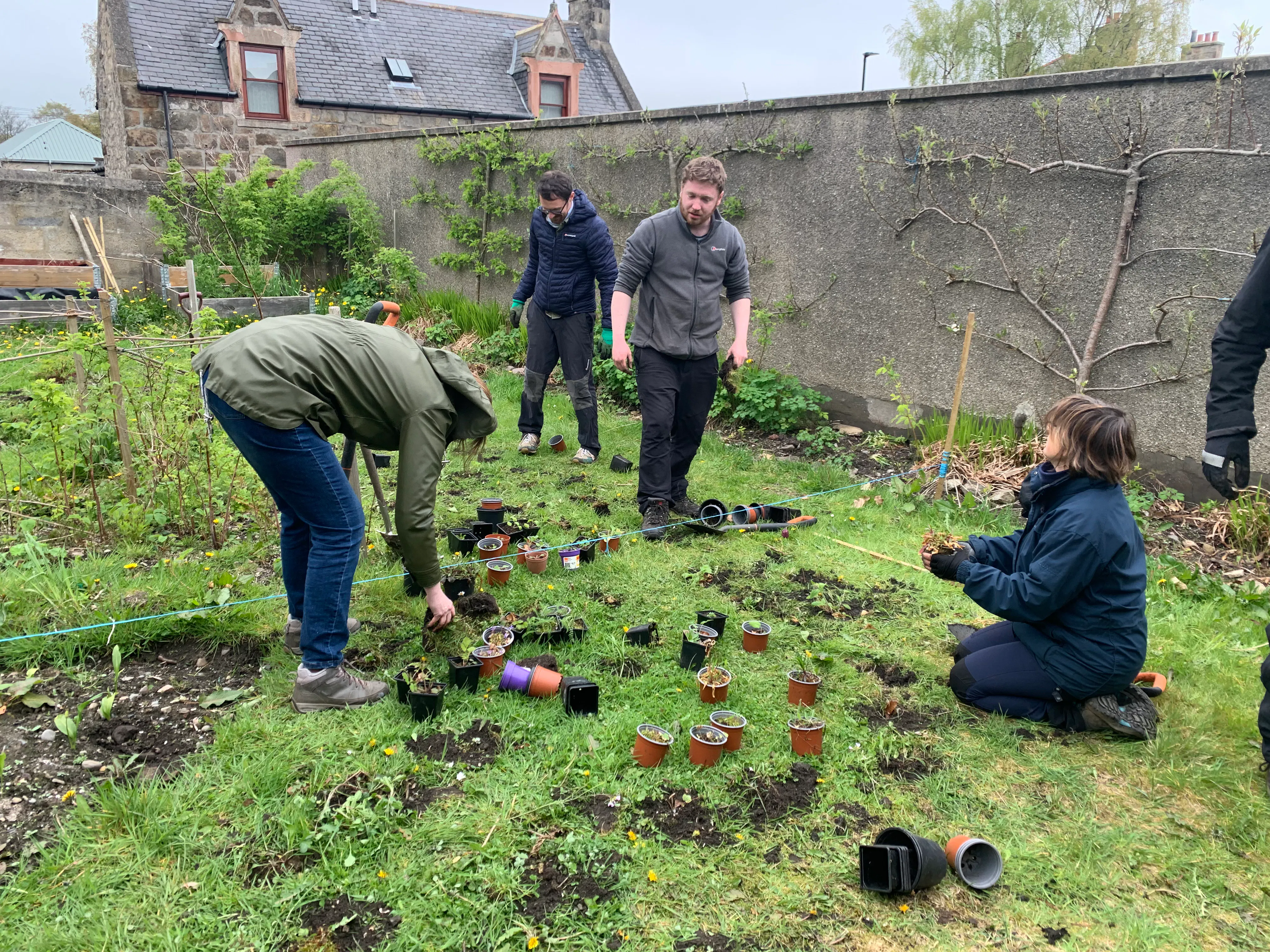 Planting a perennial meadow with the Habitat People, part of the Caretakers' Garden (2023)