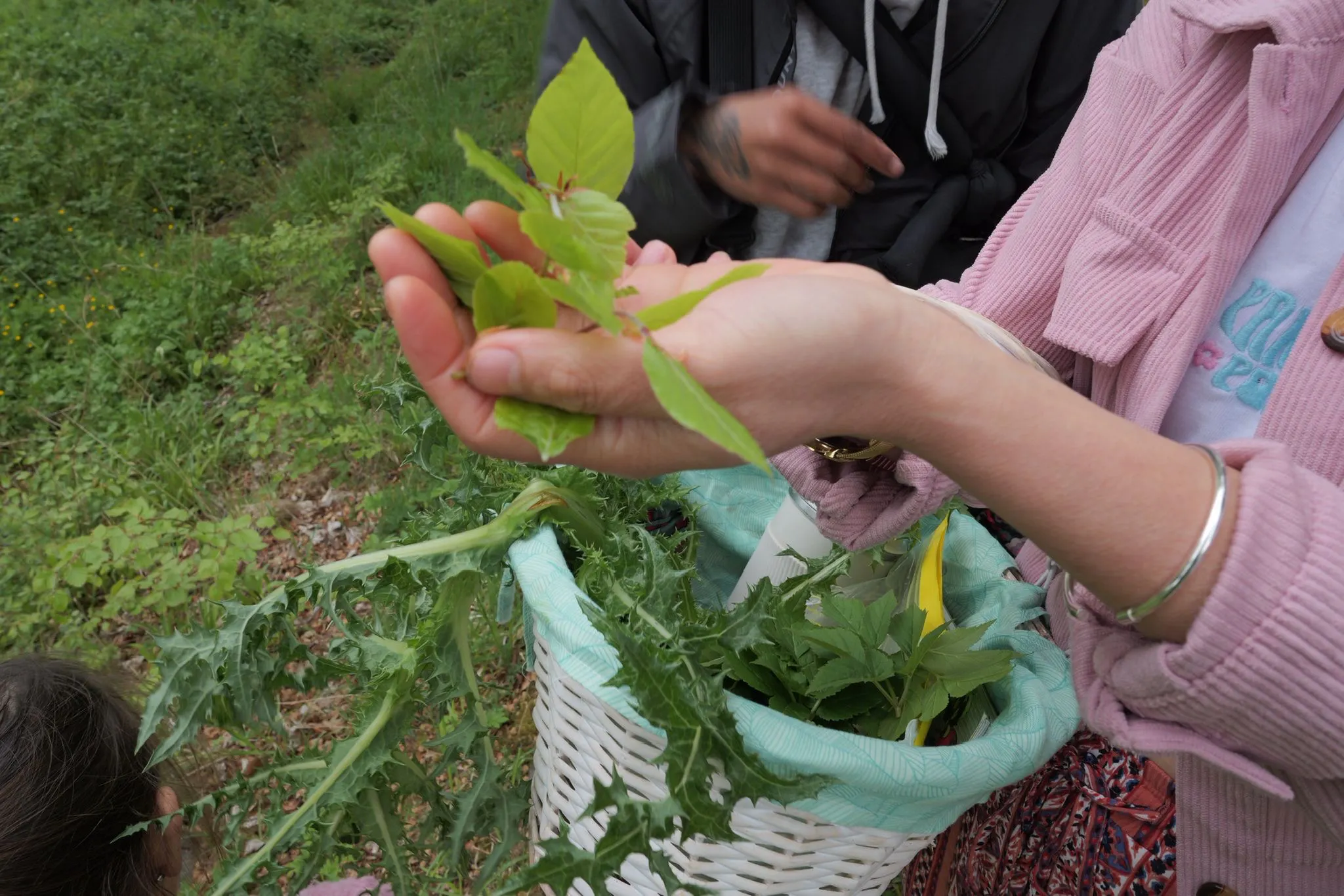 Trang Li and Rah Naqvi foraging (2026)