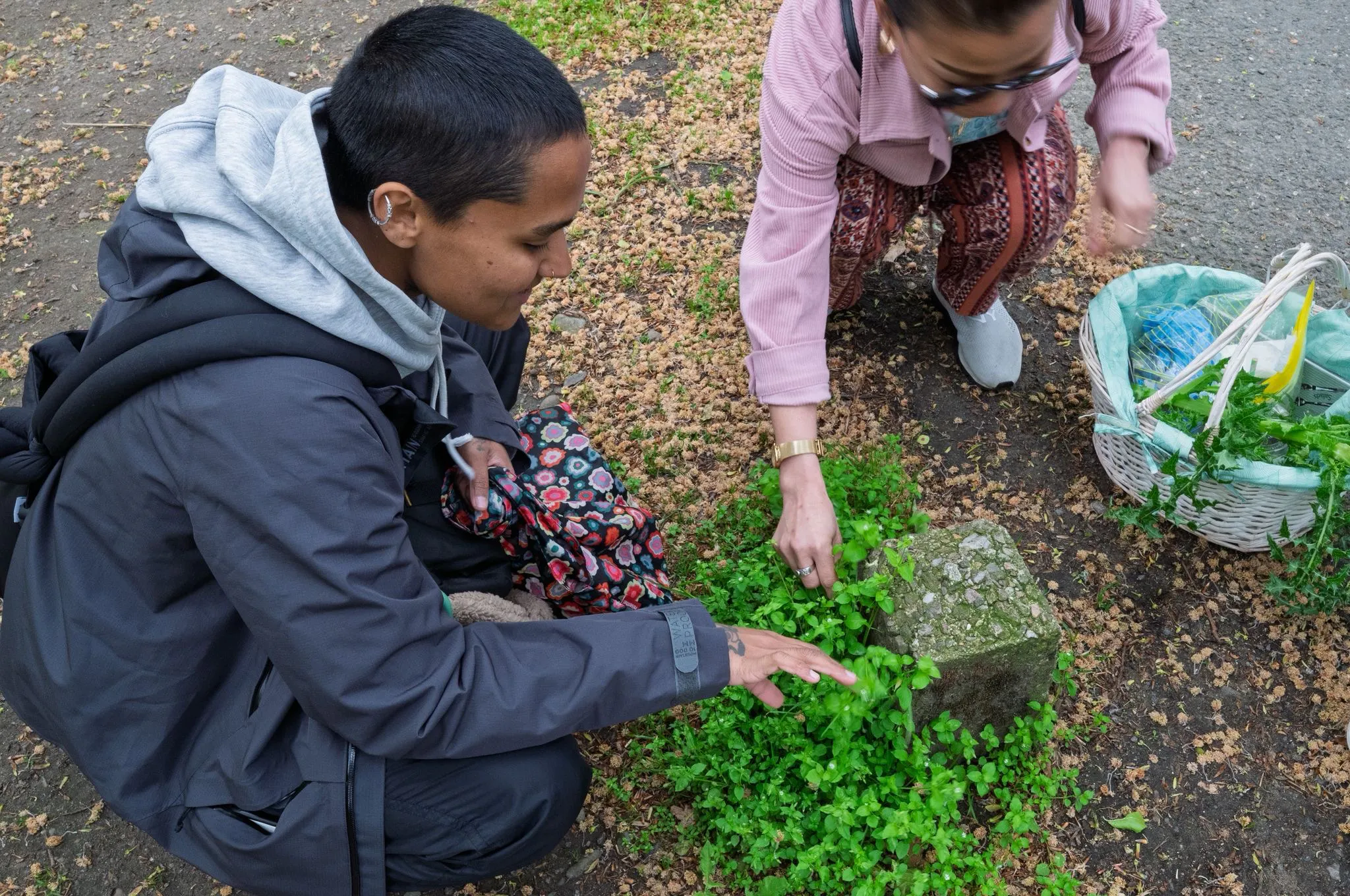 Rah Naqvi and Trang Li foraging (2026)