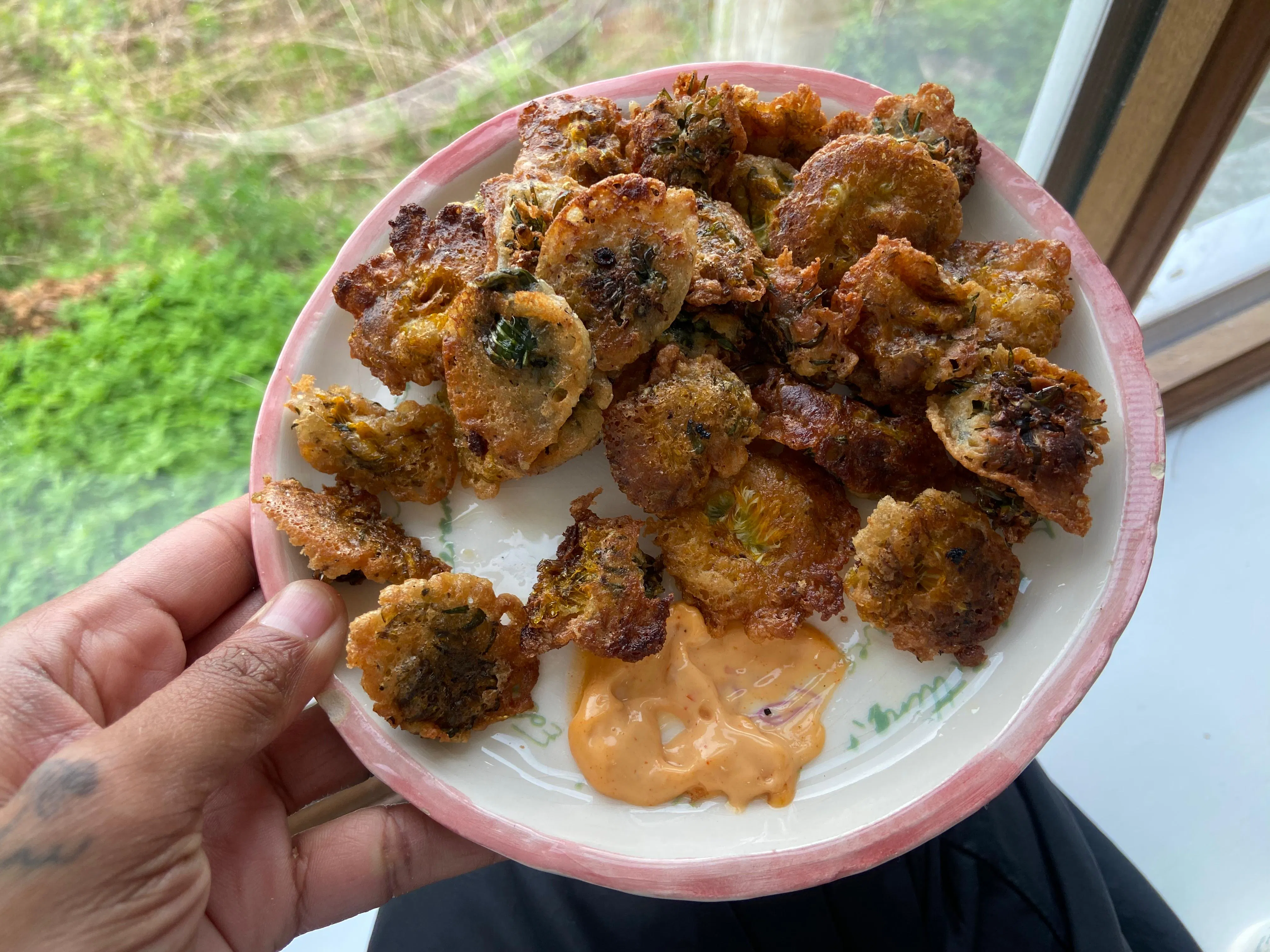 Dandelion Fritters (2026)