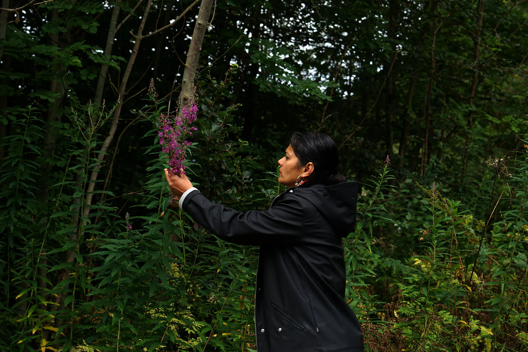 Baker Alysha Aggarwal foraging for rosebay willowherb in Rah Naqvi, Land as Body, Body as Trace (2026)