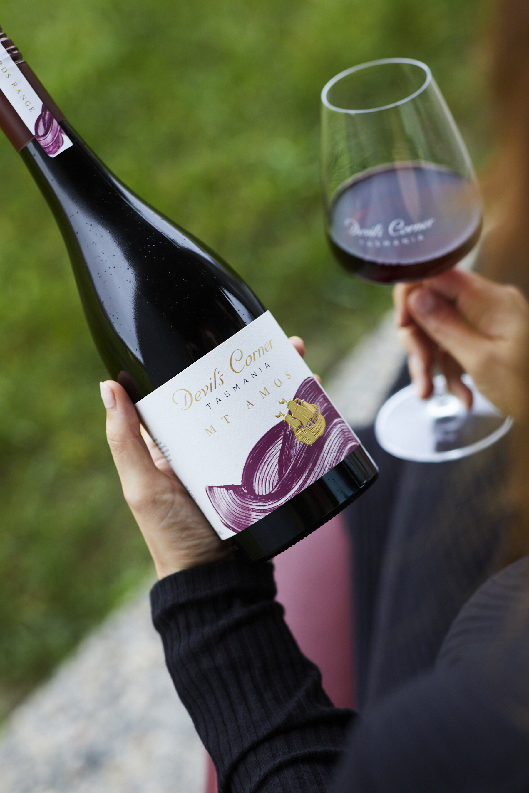 Bottle of Devil's Corner Mt Amos Pinot Noir