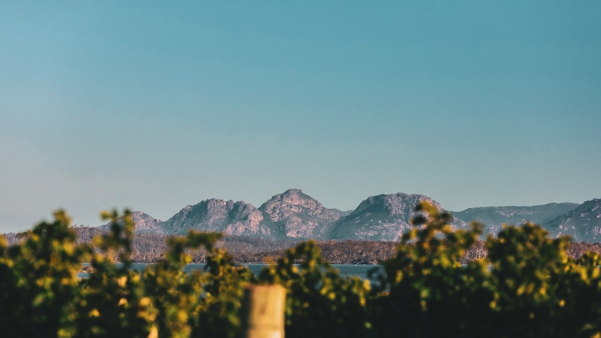 Hazards Mountain range behind Devil's Corner vines