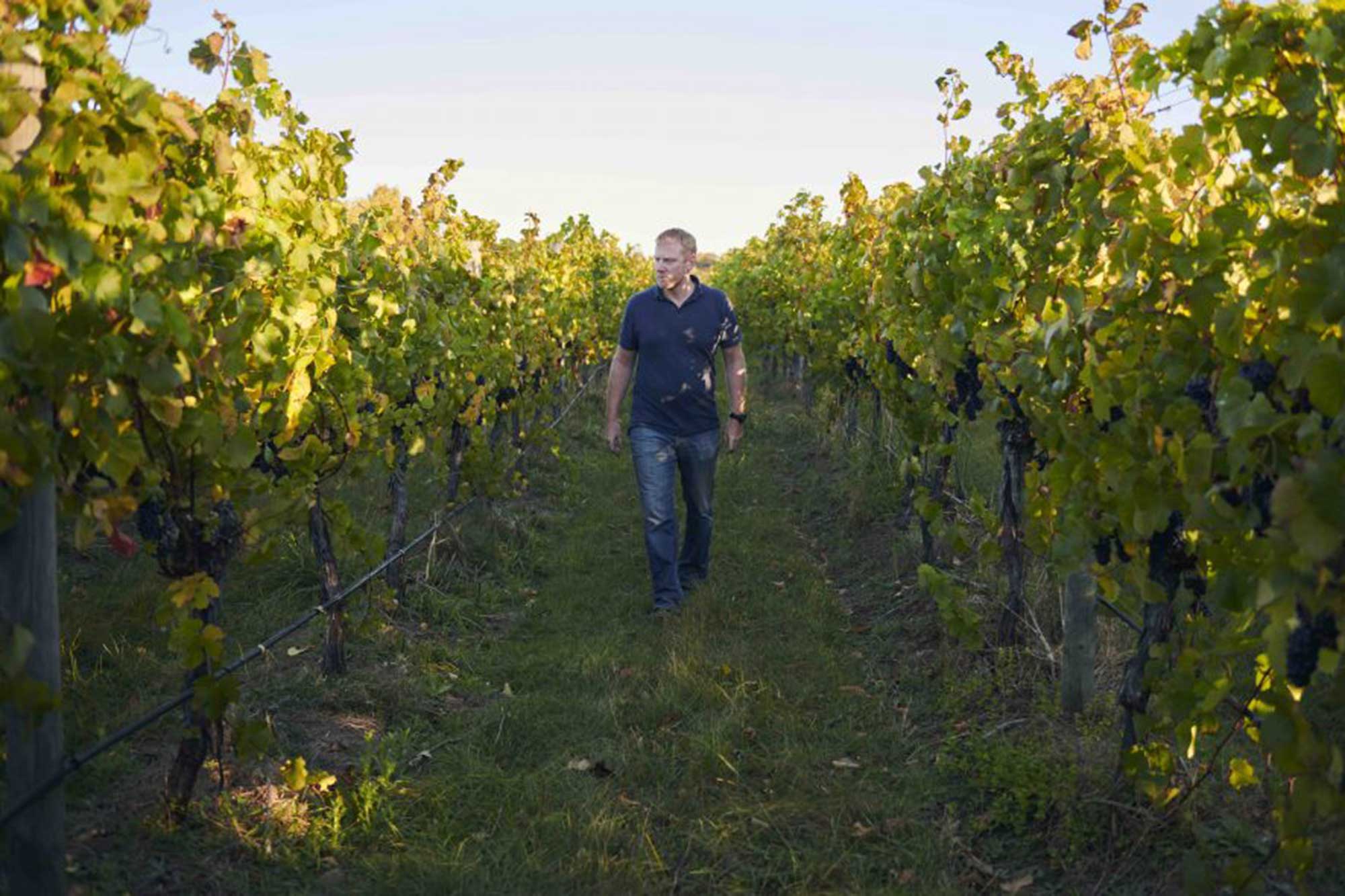 Winemaker Tom Wallace among the vines