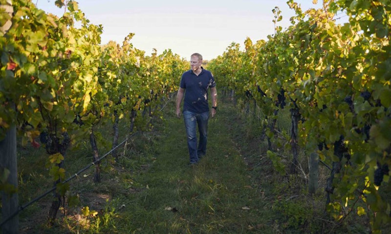 Winemaker Tom Wallace among the vines