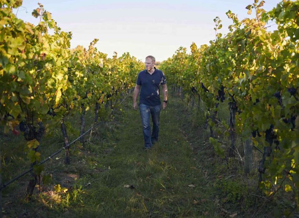 Winemaker Tom Wallace among the vines