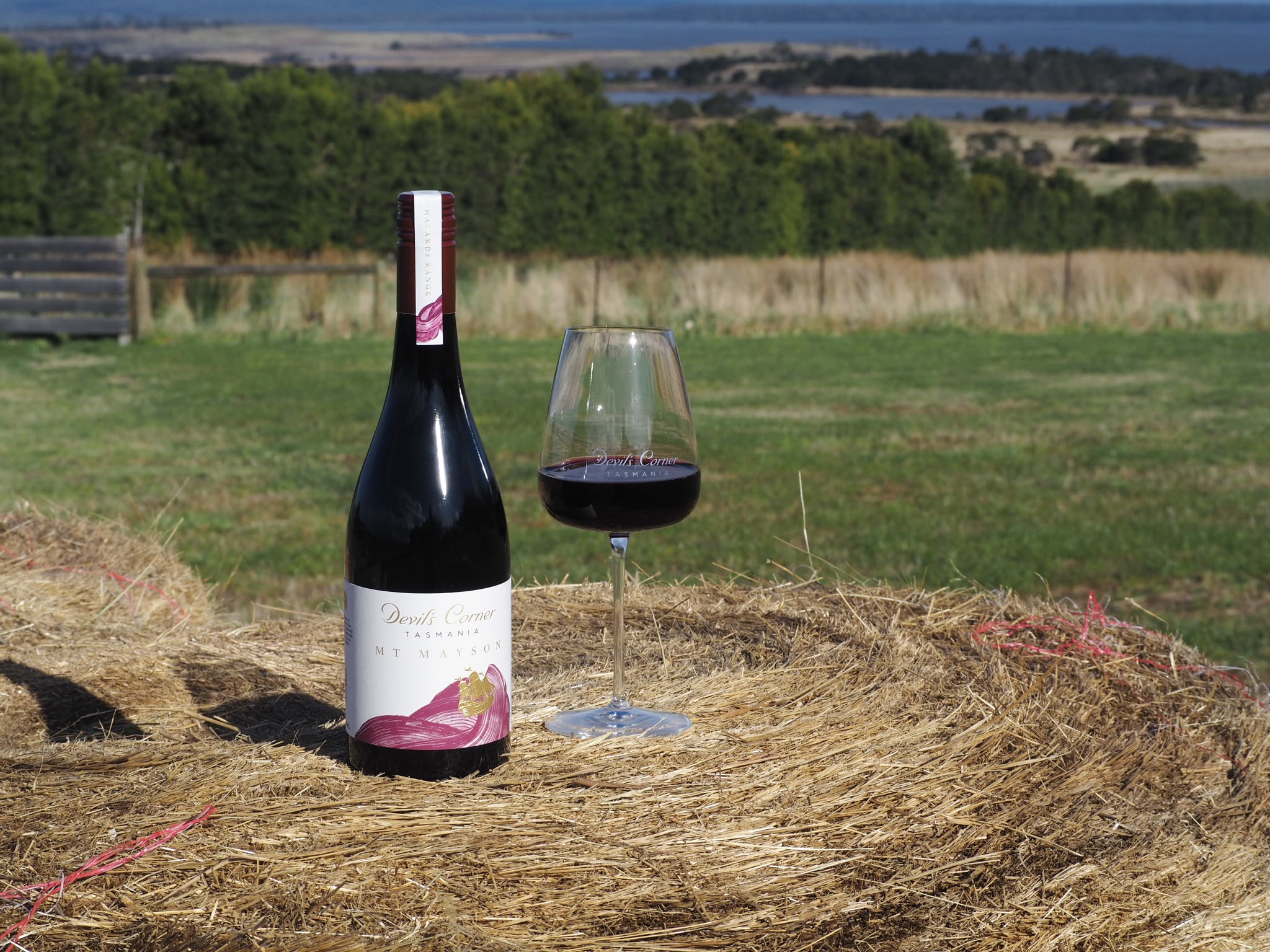 Bottle of Mt Mayson Syrah