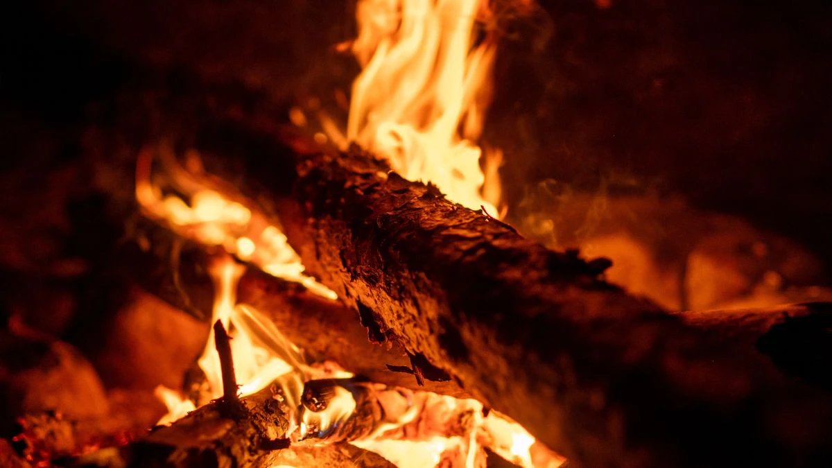 Burning of the Canes