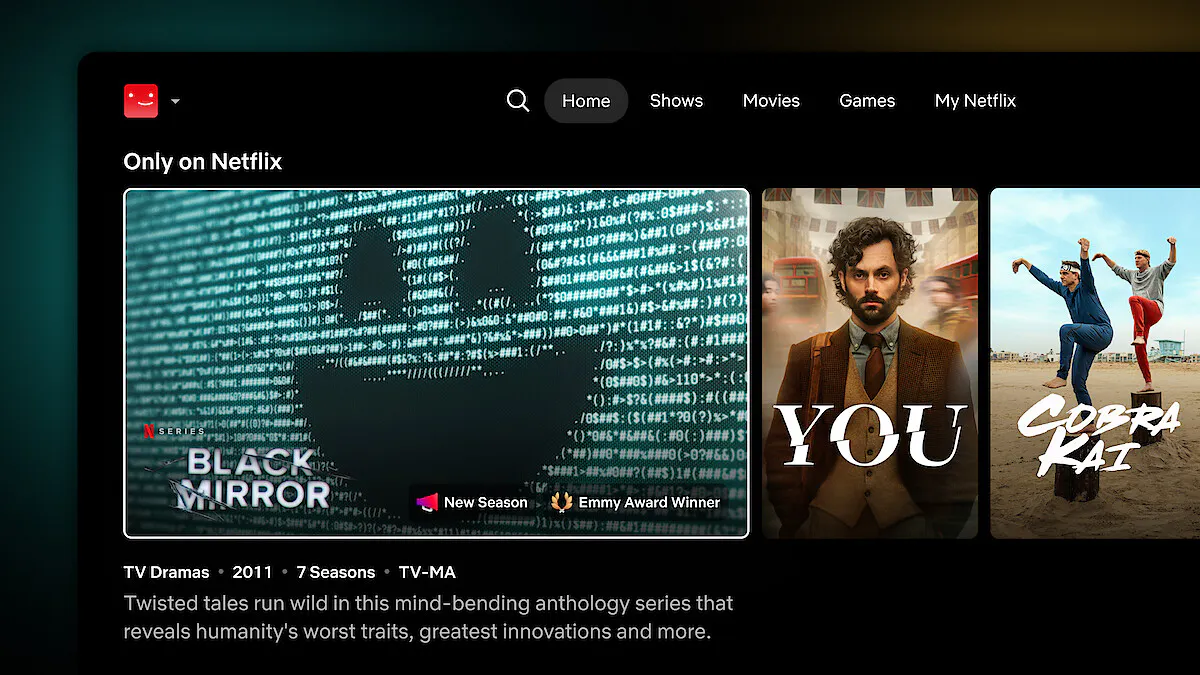 netflix hero image