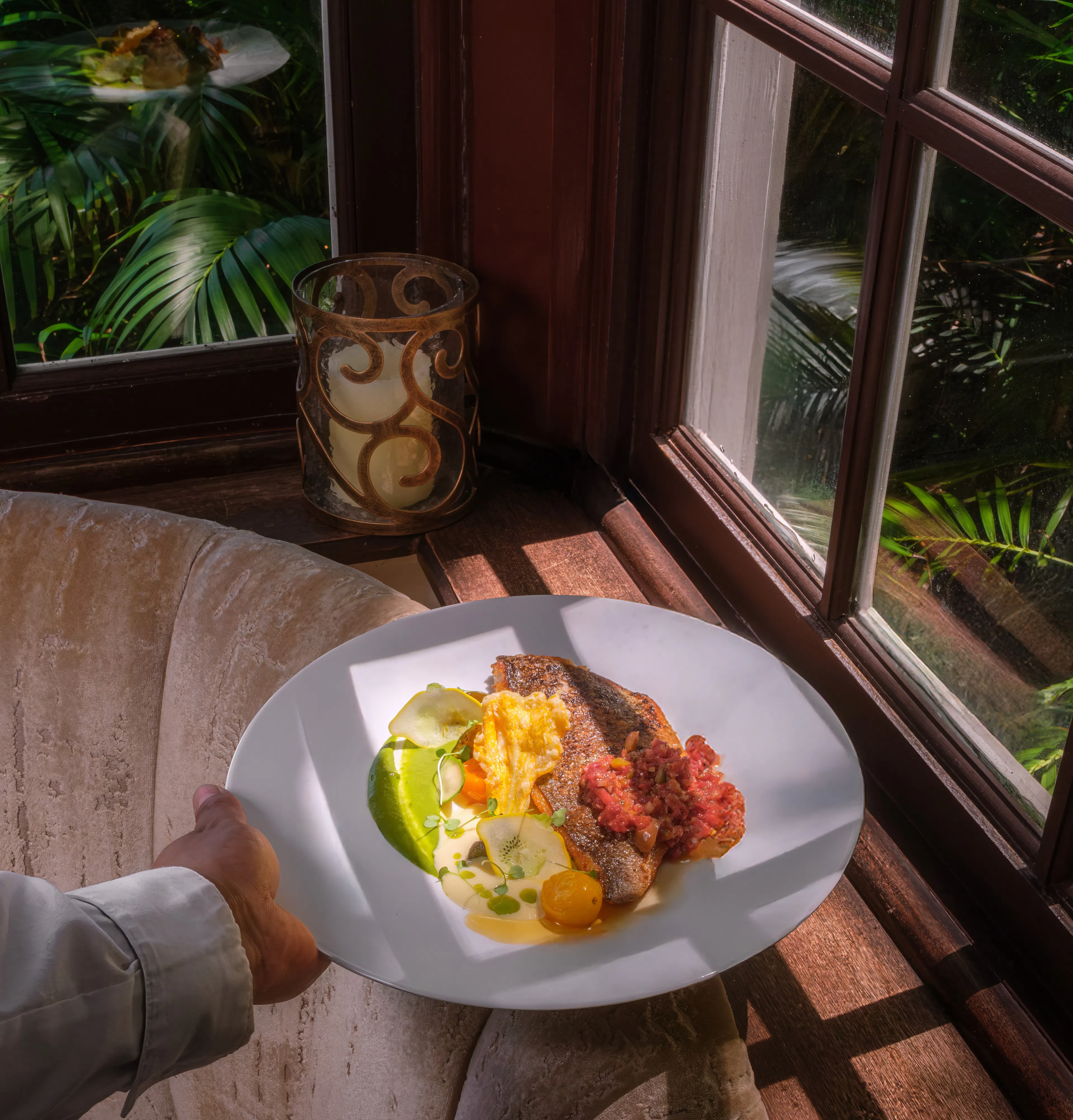 dish by winow