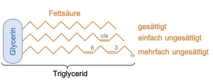show-inline-image