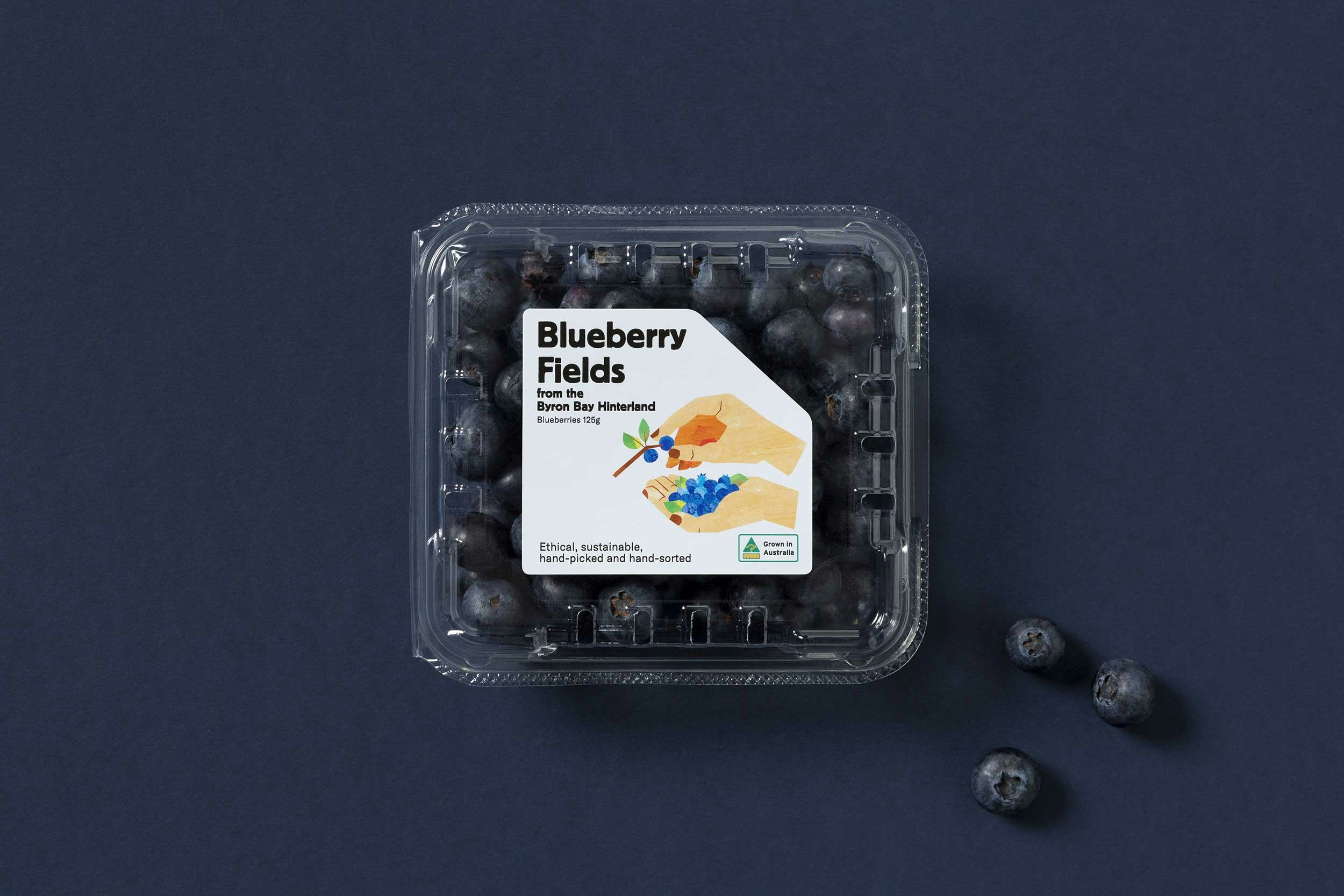 Product shot of Blueberry Field punnet