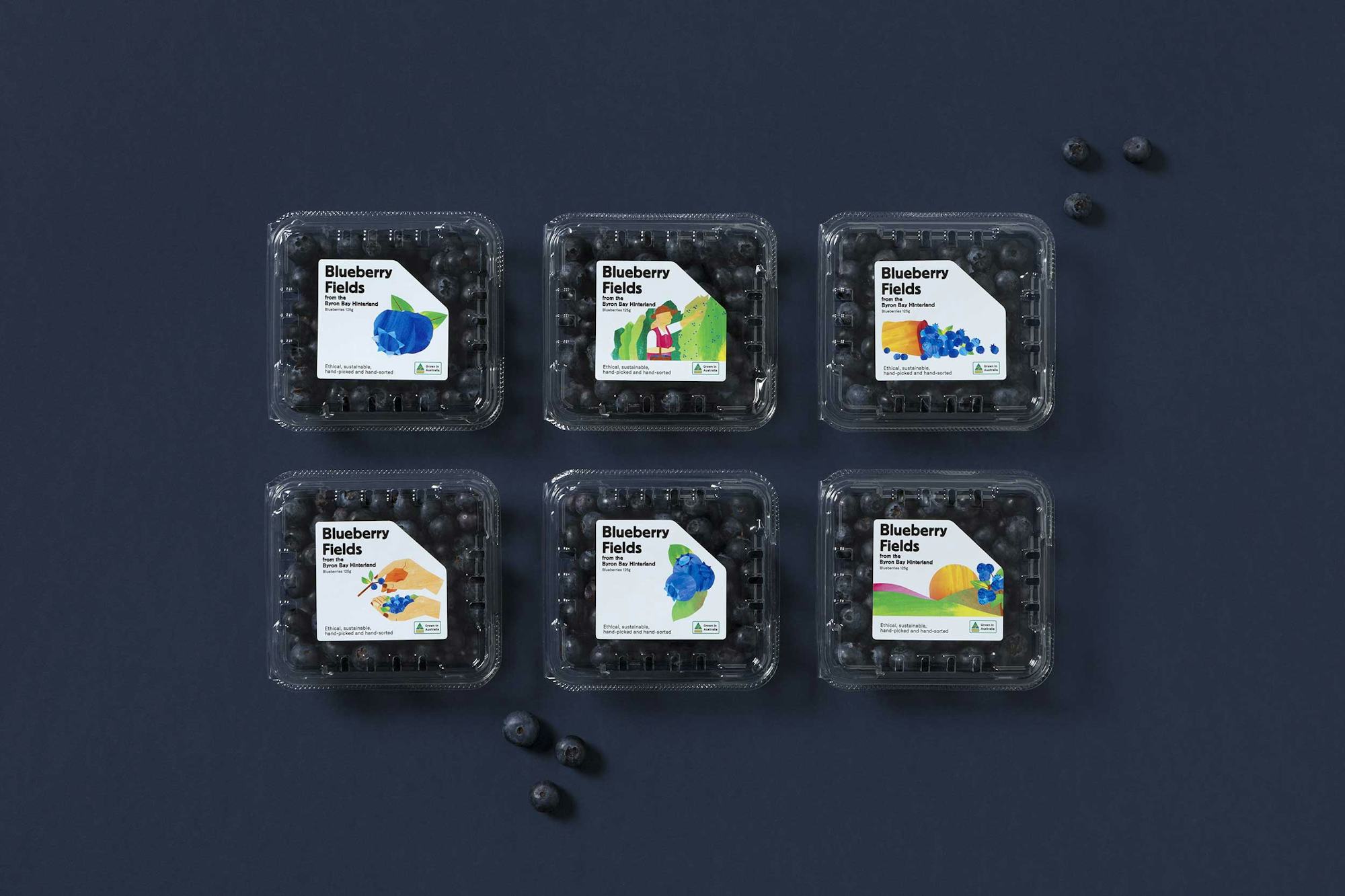 Product shot of all 6 Blueberry Field punnets