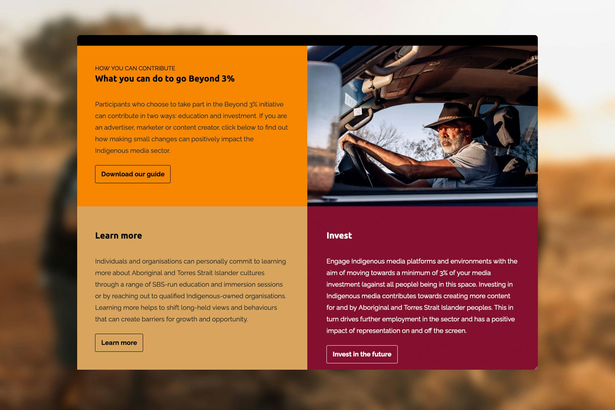 Screenshot of the Beyond Three Percent website