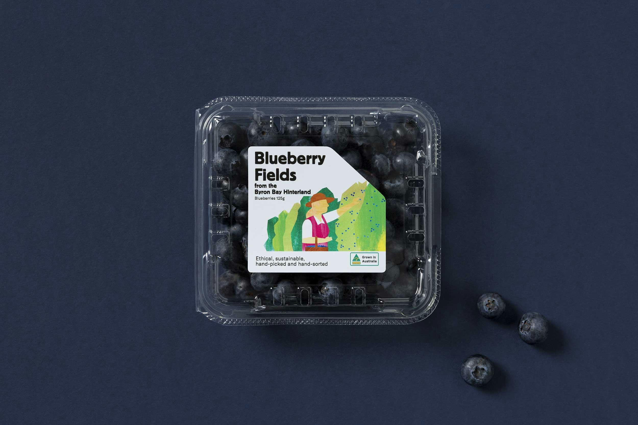 Product shot of Blueberry Field punnet