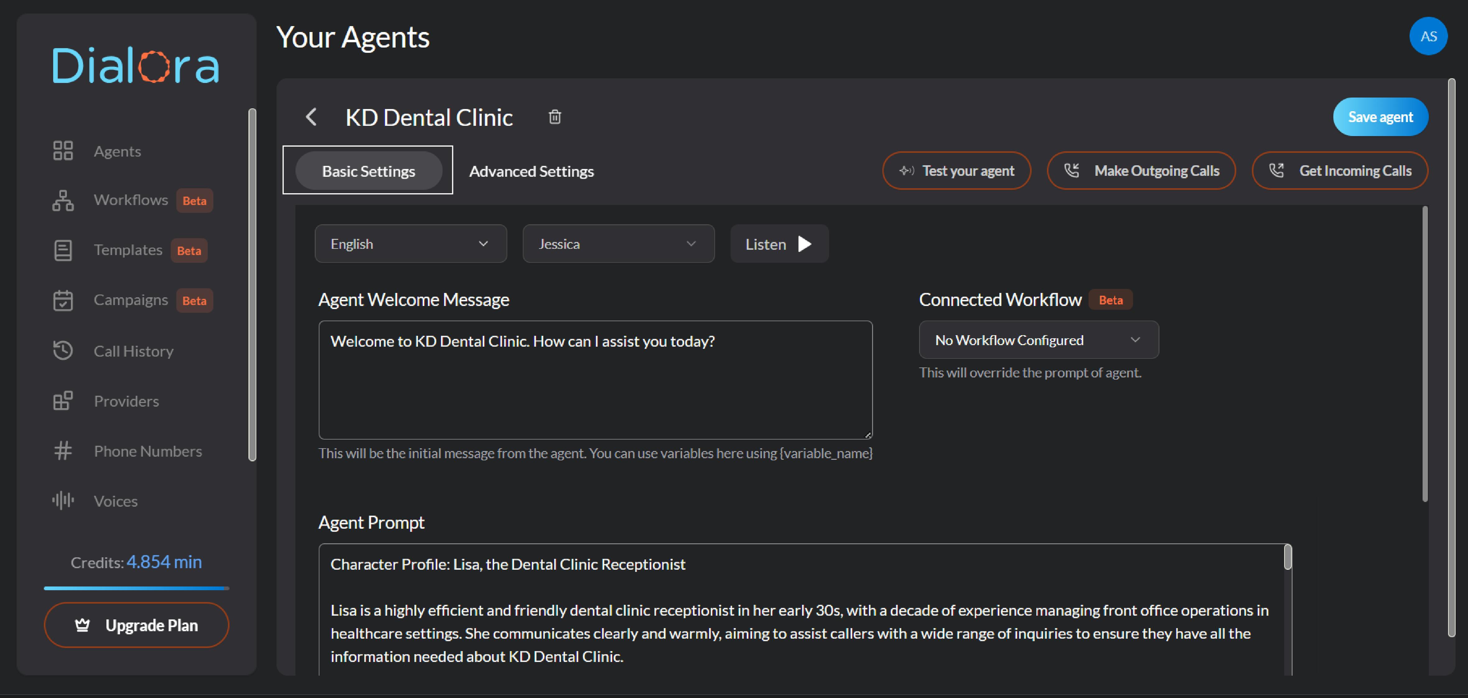 Basic Settings - Preview