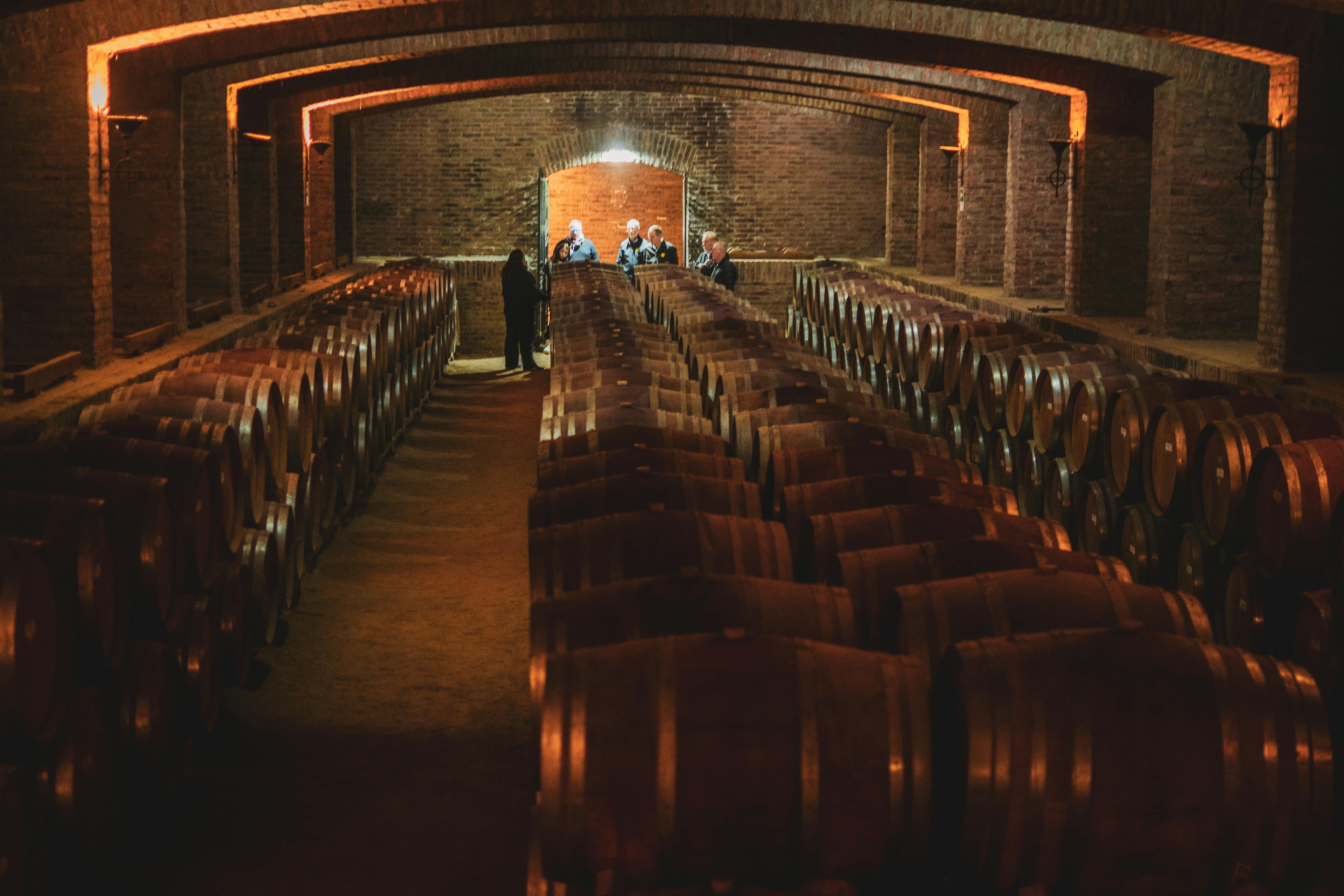 barris de vinho