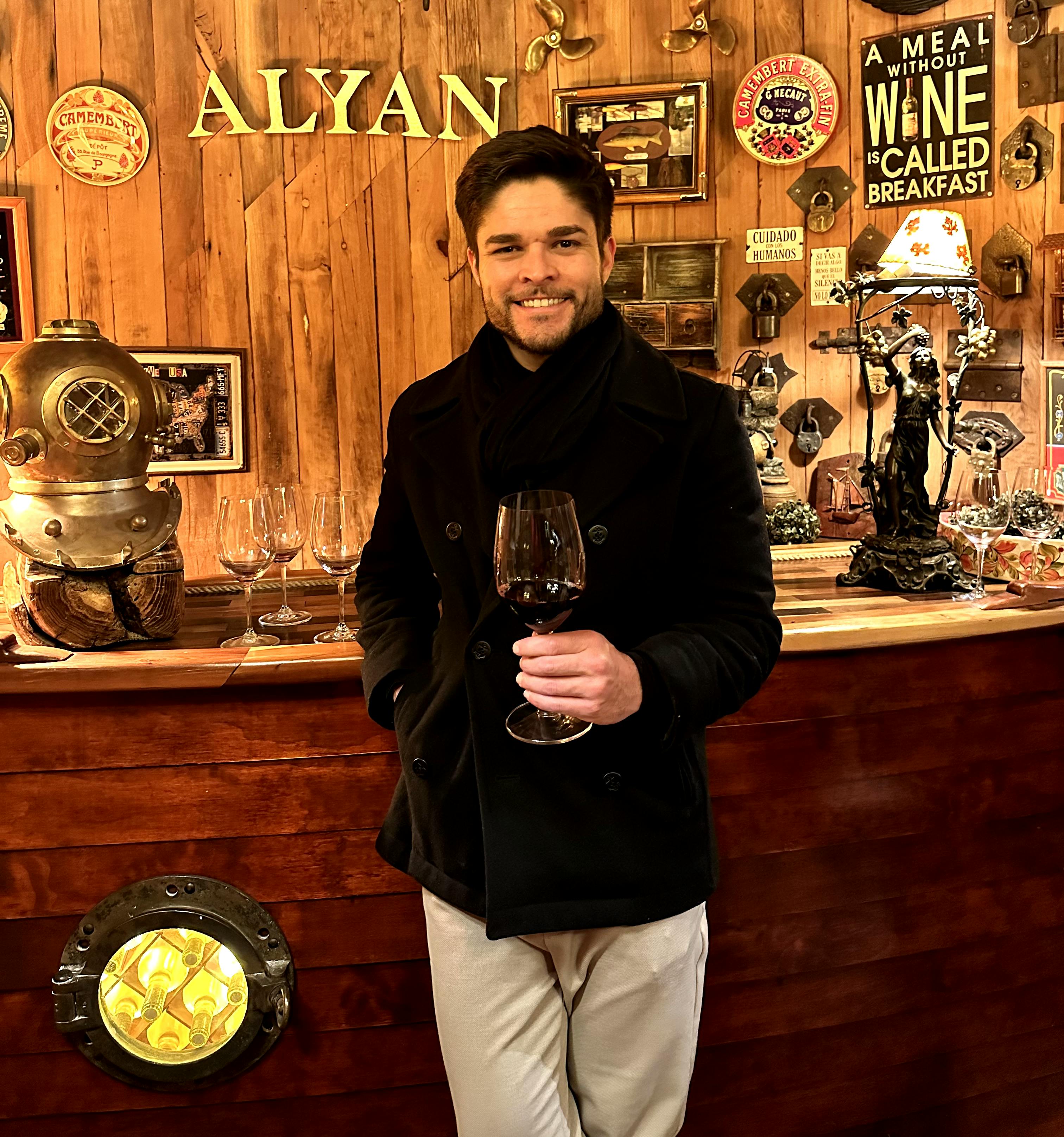 Pessoa segurando taça de vinho