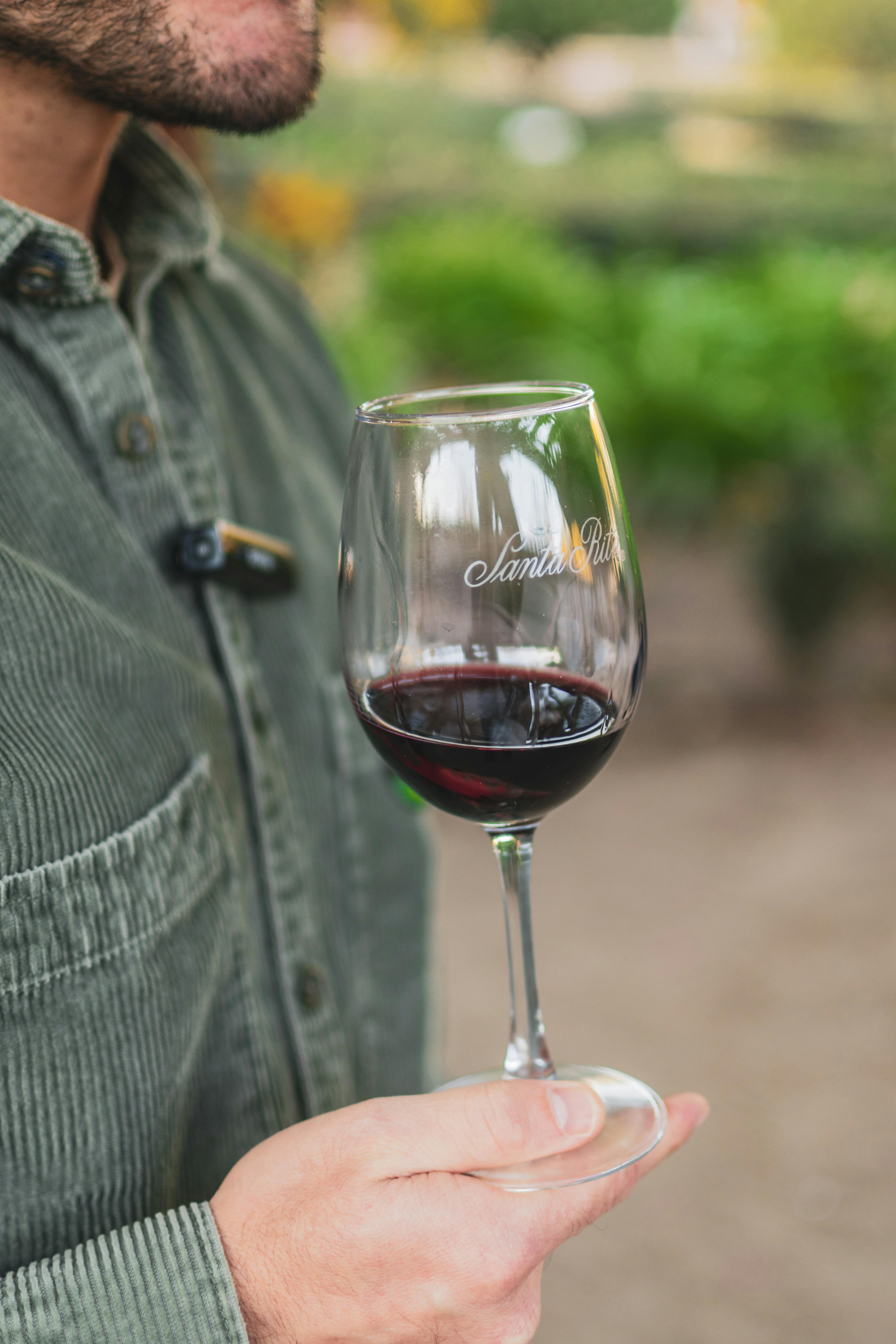 Pessoa segurando taça de vinho