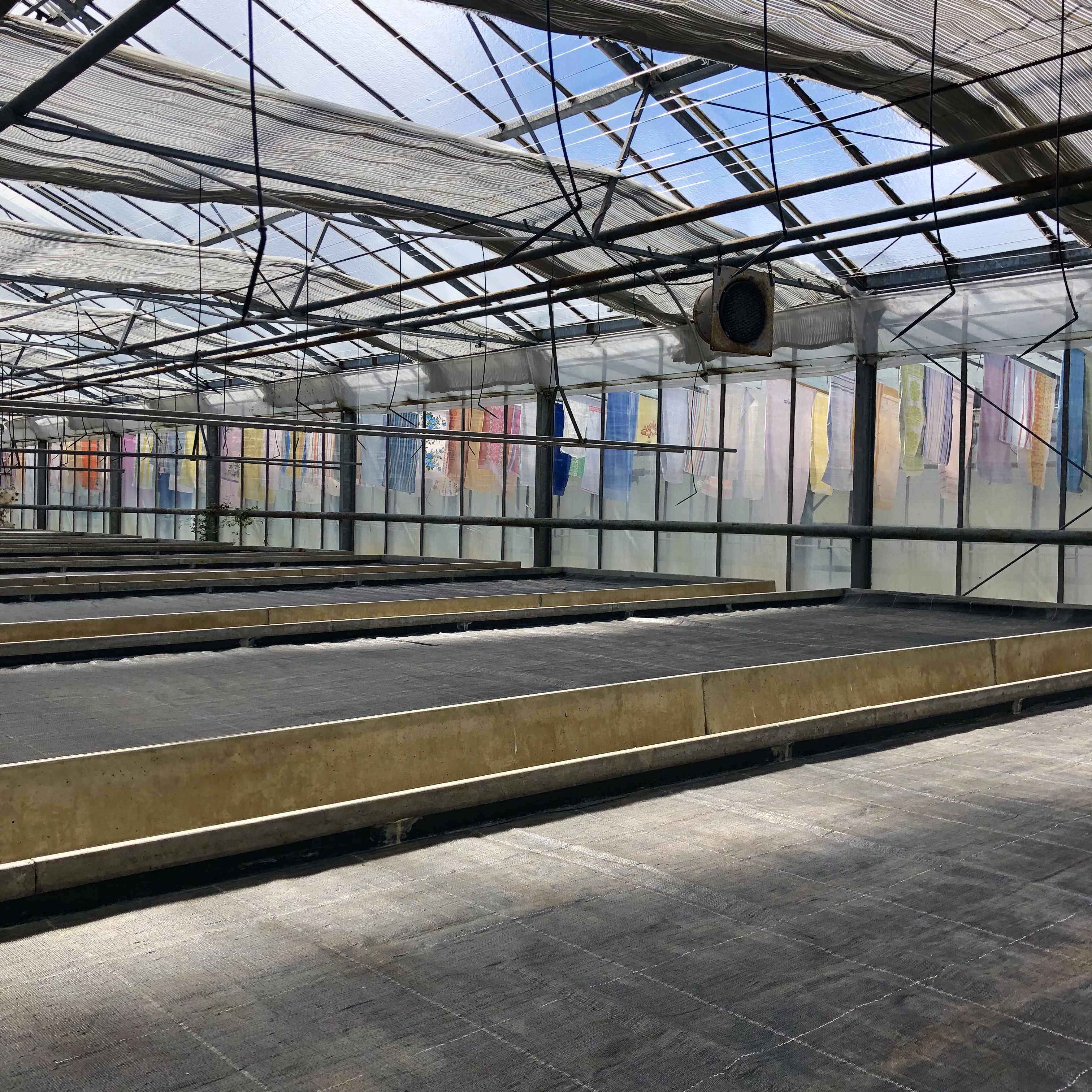 Durch die Lappen gegangen, Gemeinschaftsarbeit mit Maria Boldt