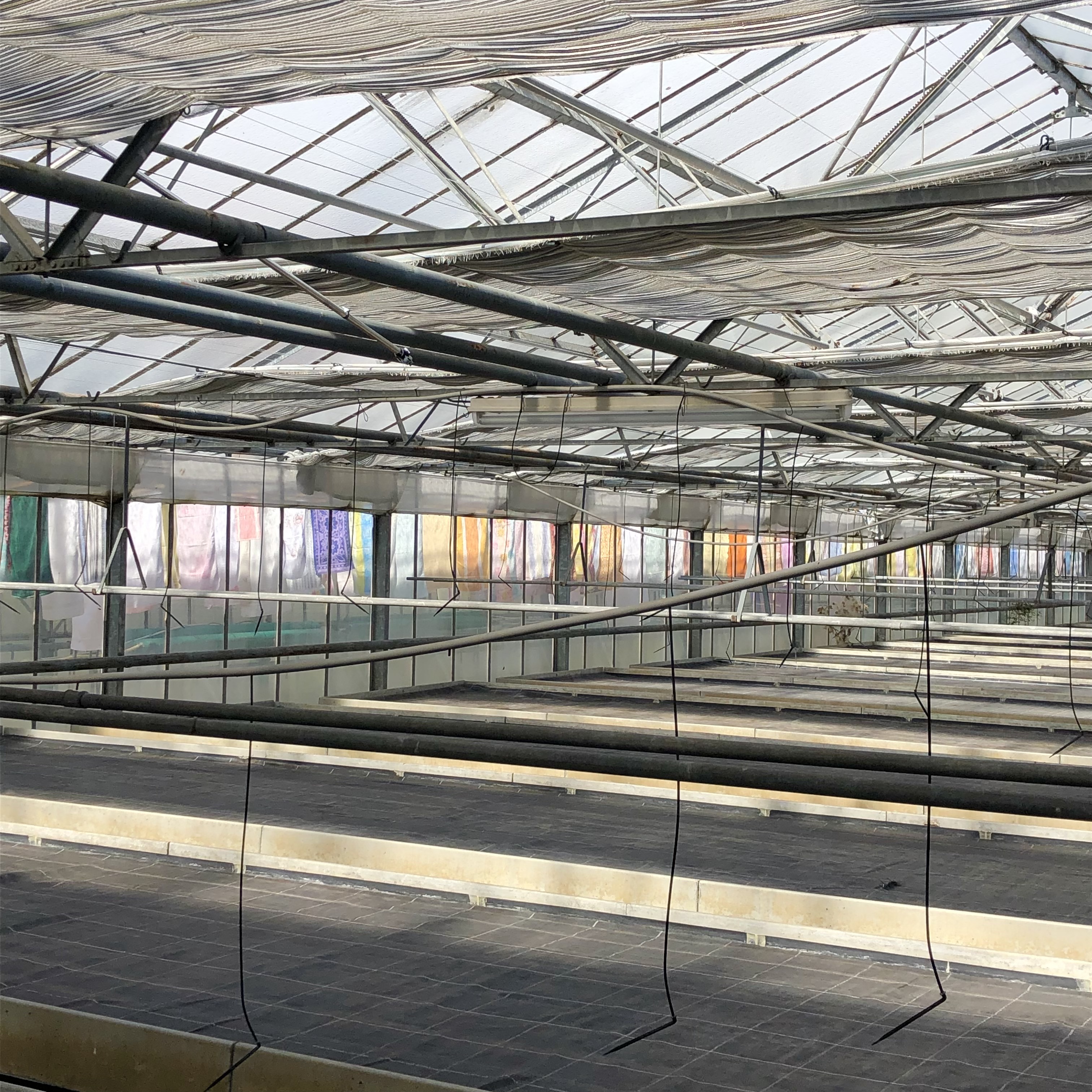 Durch die Lappen gegangen, Gemeinschaftsarbeit mit Maria Boldt