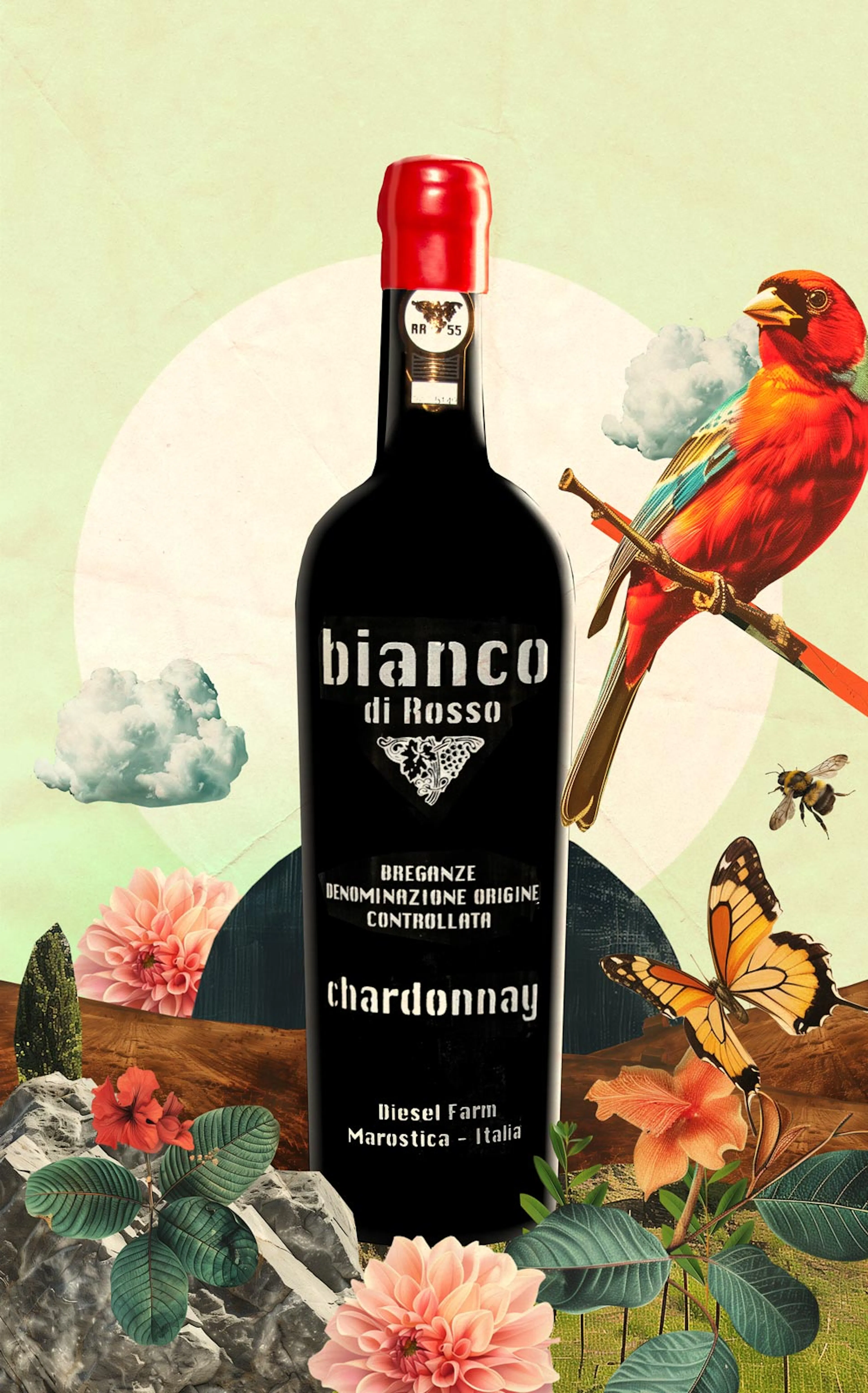 Diesel Farm Celebrating 55 ワイン 750ml Celebrating 55 - Bolle di Rosso – DieselFarm