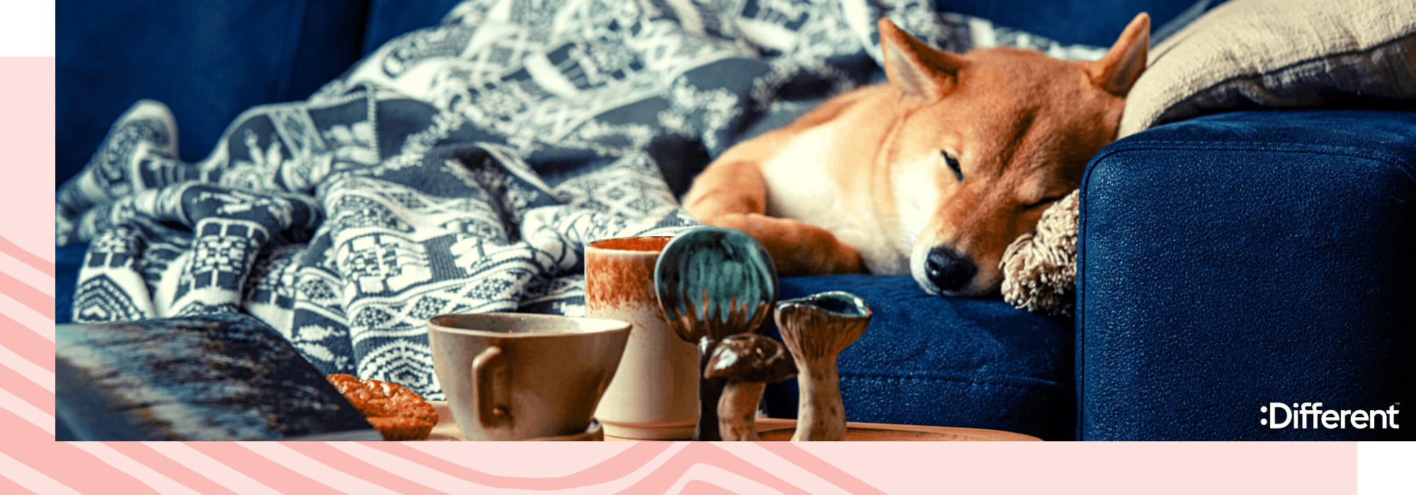 pet dog sleeping
