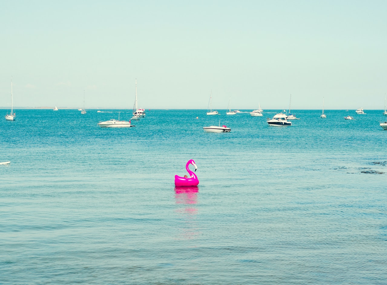 Photo d'un flamant rose dans la mer