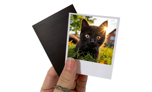 Imãs retrô, mão segurando, Foto de um gatinho preto 