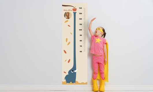 Régua de Crescimento