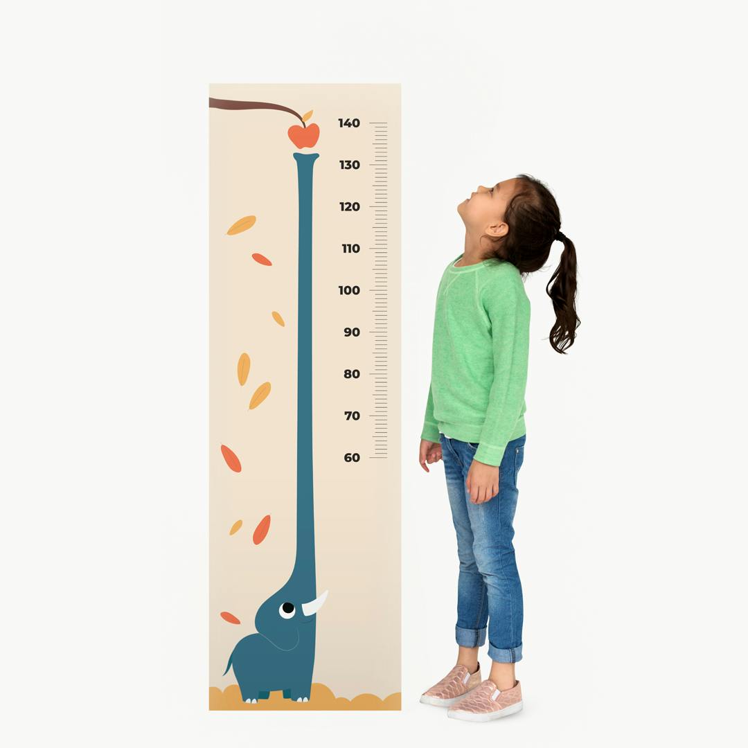 Régua de Crescimento