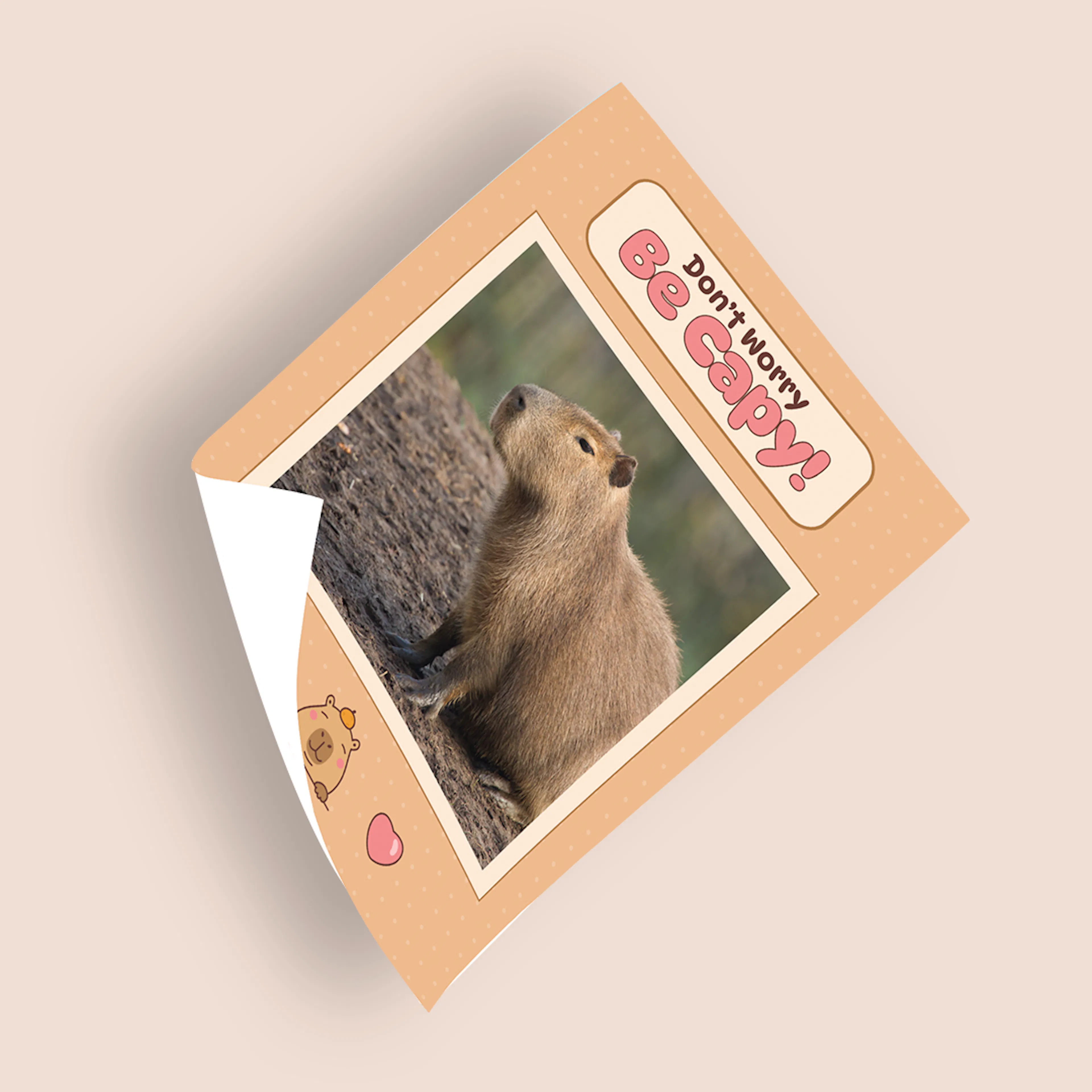 Pôster Capivara