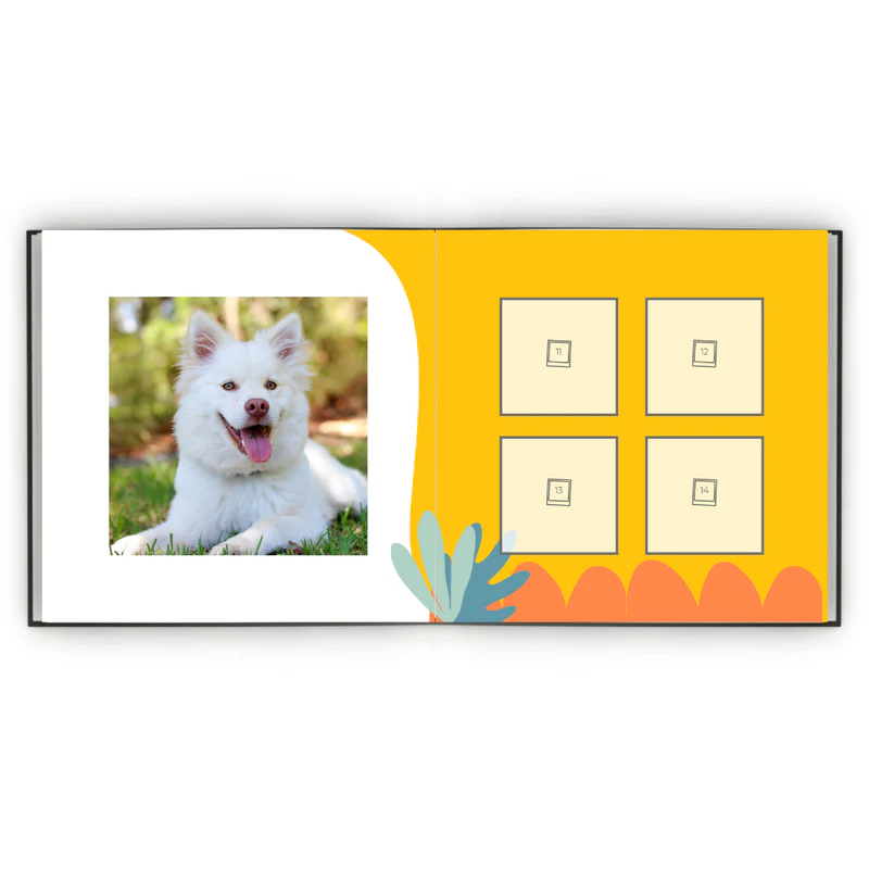 Álbum de Figurinhas - Mãe de Pet