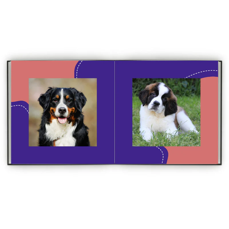 Álbum de Figurinhas - Mãe de Pet