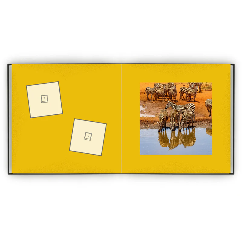 Álbum de Figurinhas - África do Sul