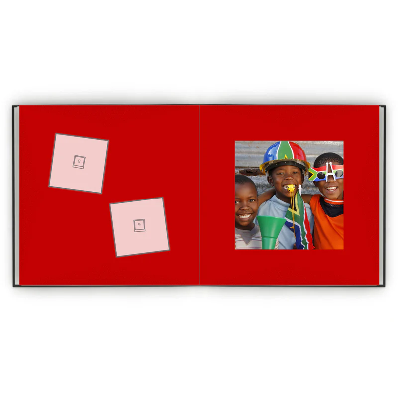 Álbum de Figurinhas - África do Sul