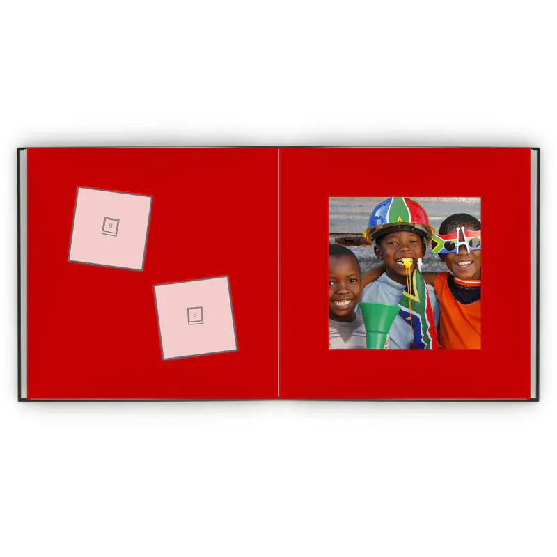 Álbum de Figurinhas - África do Sul