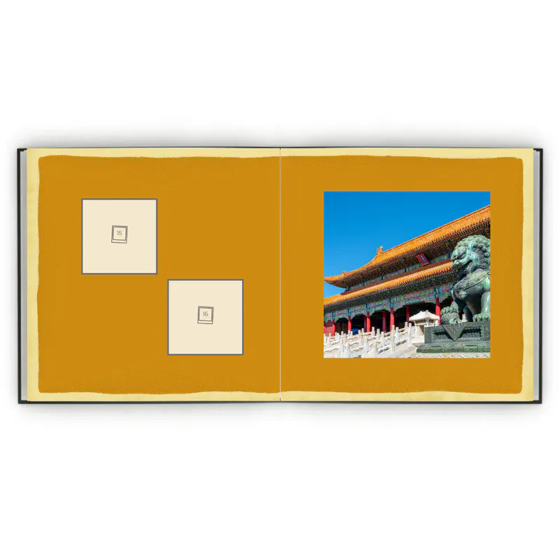 Álbum de Figurinhas - China