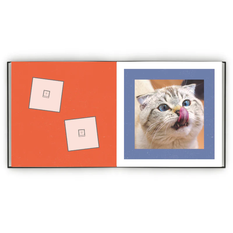 Álbum de Figurinhas - Meu gato minha vida
