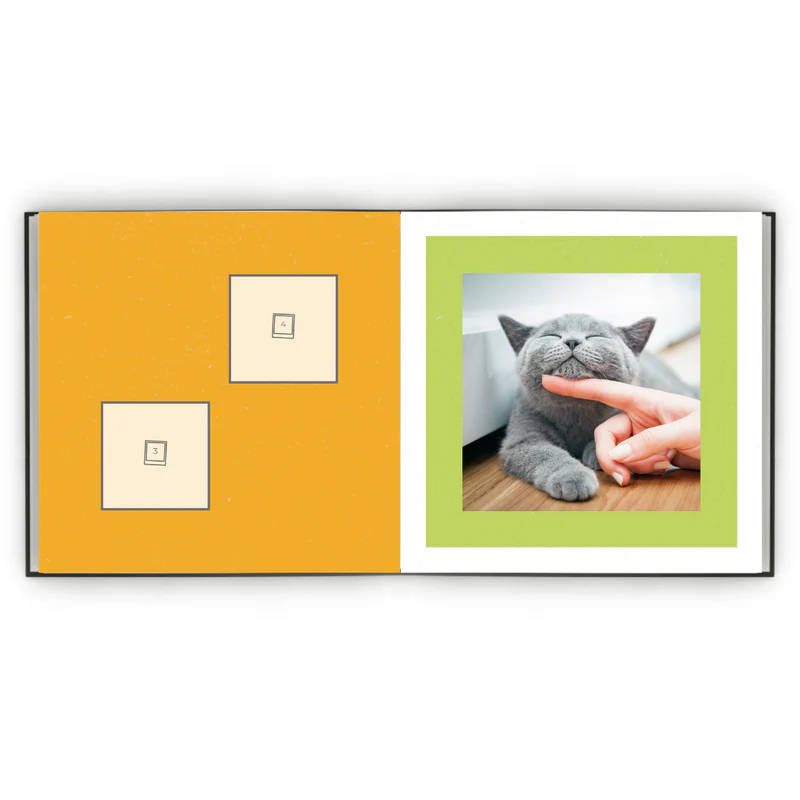 Álbum de Figurinhas - Meu gato minha vida
