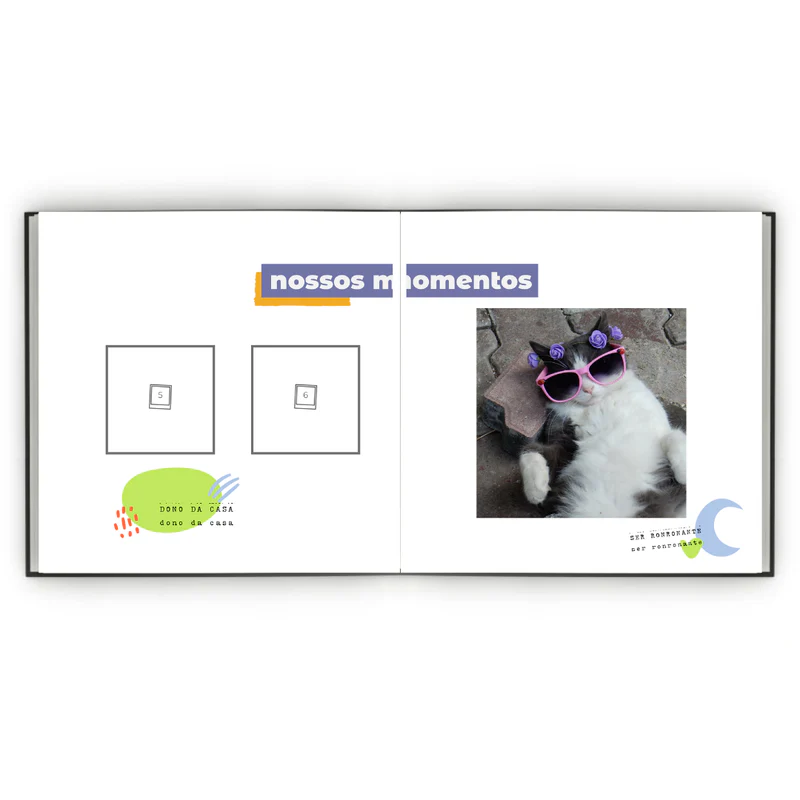 Álbum de Figurinhas - Meu gato minha vida
