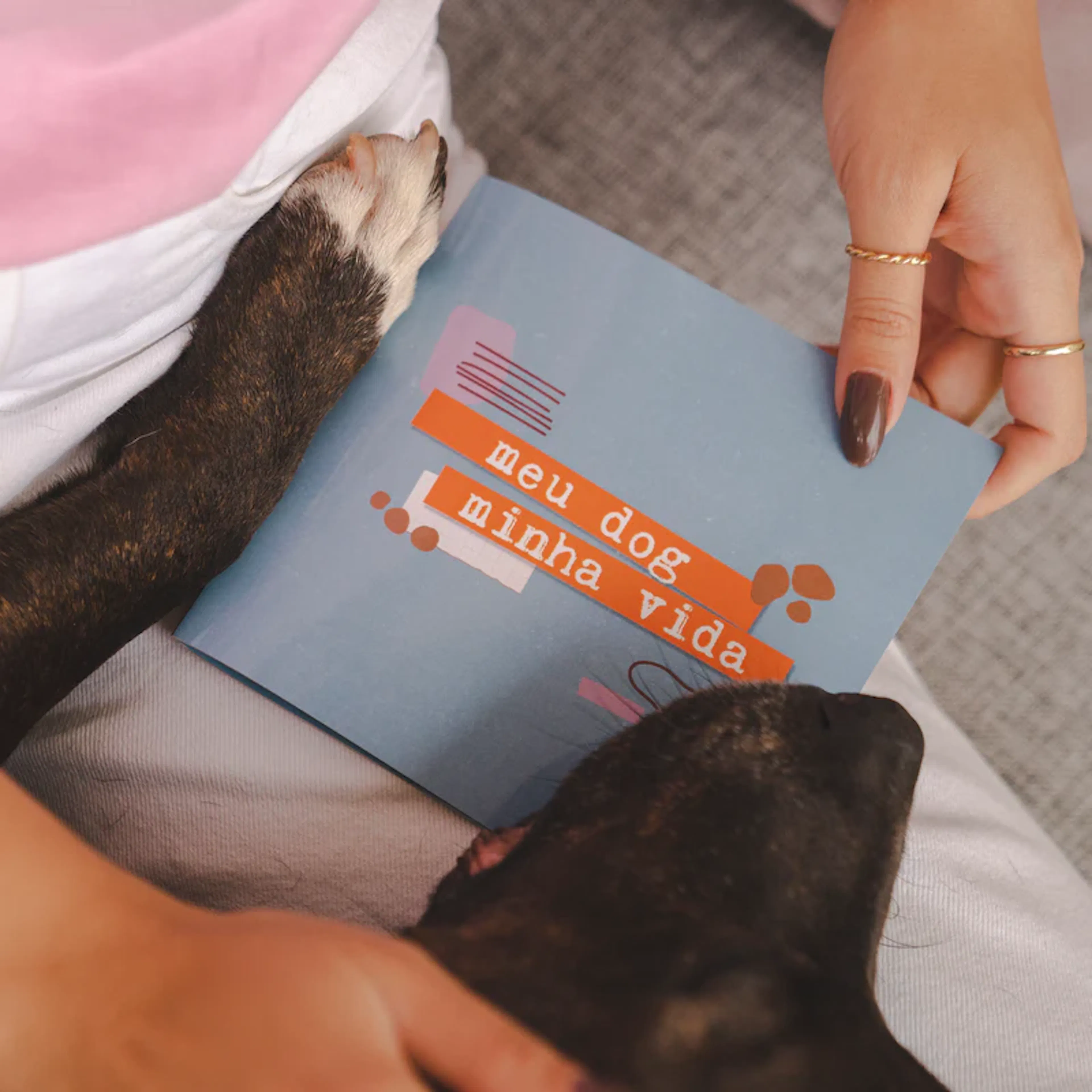 Álbum de Figurinhas - Meu dog minha vida