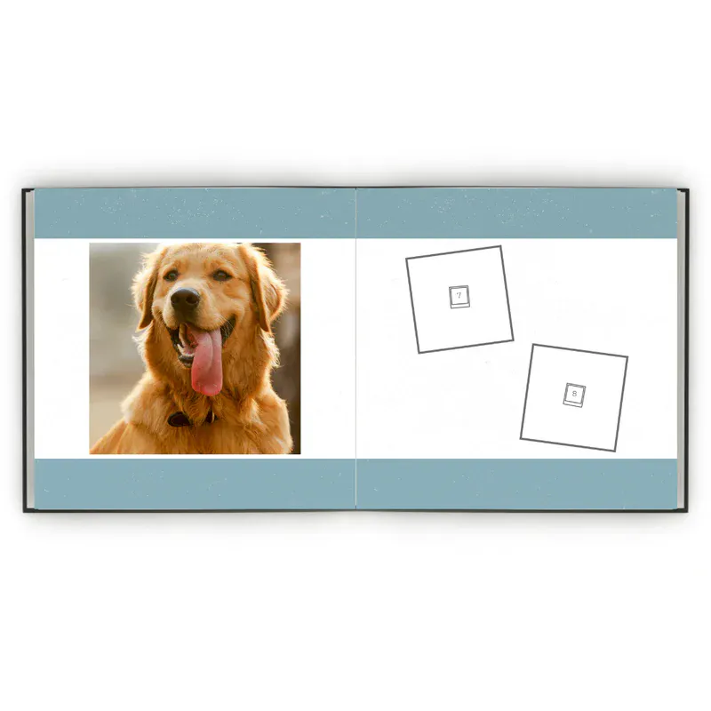 Álbum de Figurinhas - Meu dog minha vida