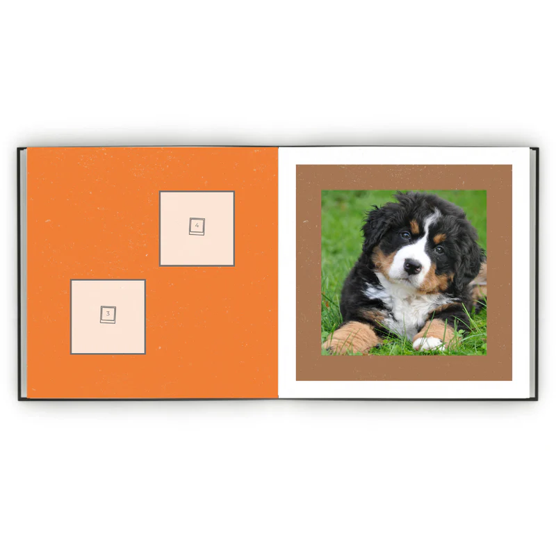 Álbum de Figurinhas - Meu dog minha vida