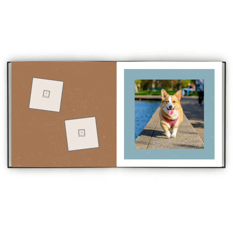 Álbum de Figurinhas - Meu dog minha vida