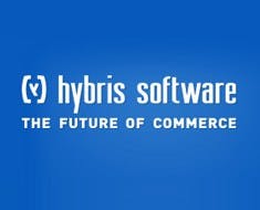 DIgital Six Hybris Parnership